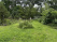 Index image