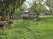 Index image