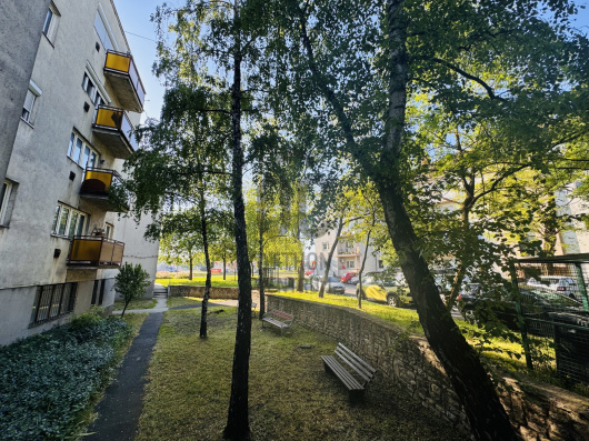 Index image