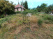 Index image