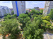 Index image