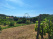 Index image