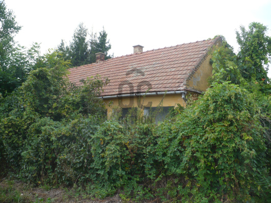 Index image