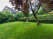Index image