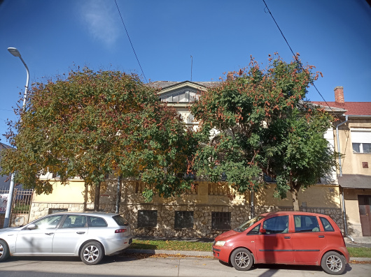 Index image