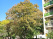 Index image