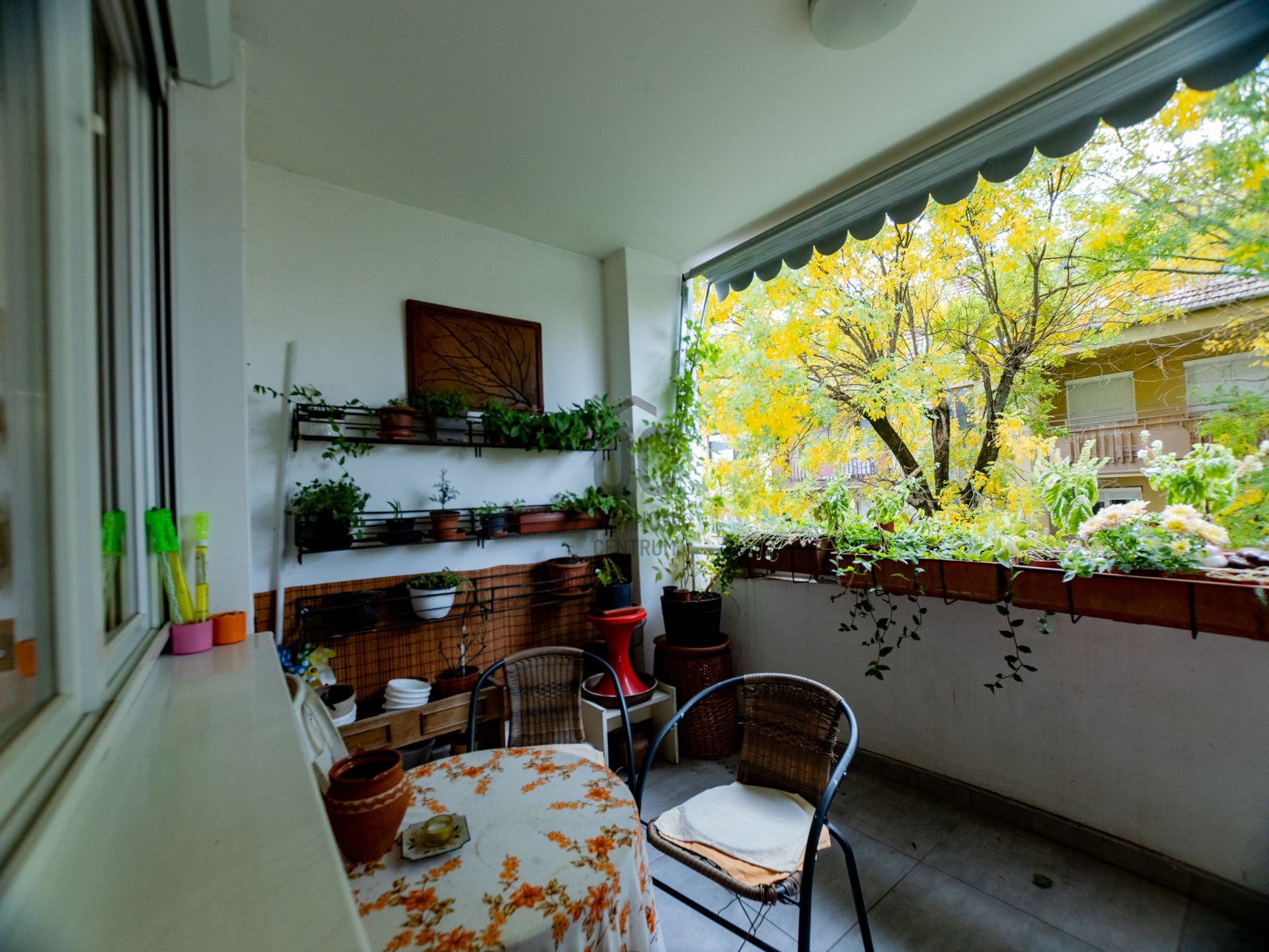 Gallery zoom image