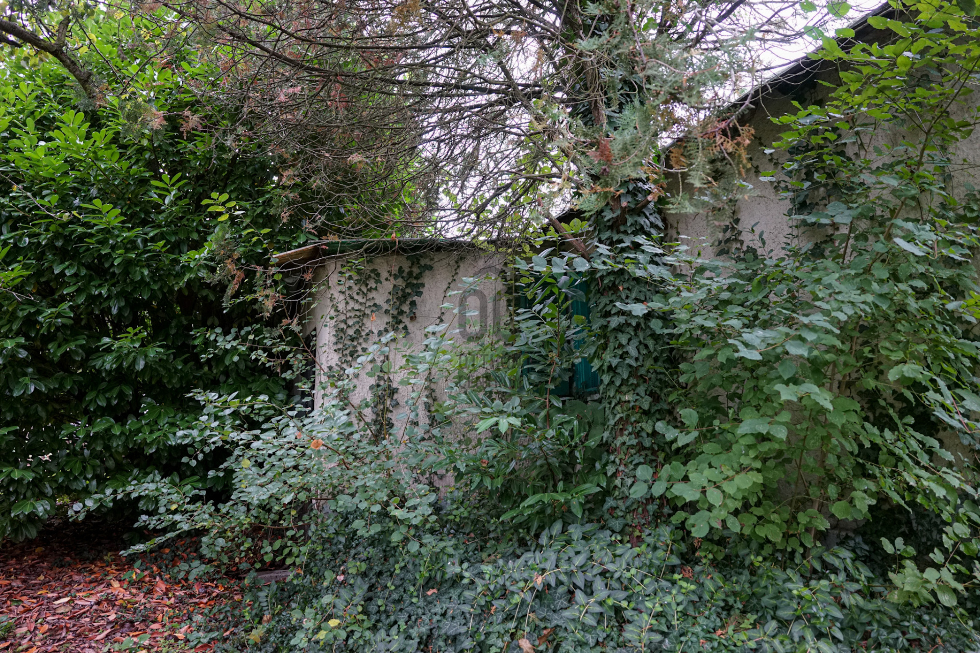 Gallery zoom image