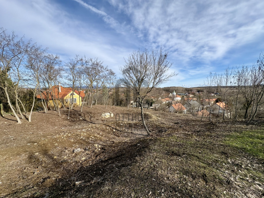 Index image