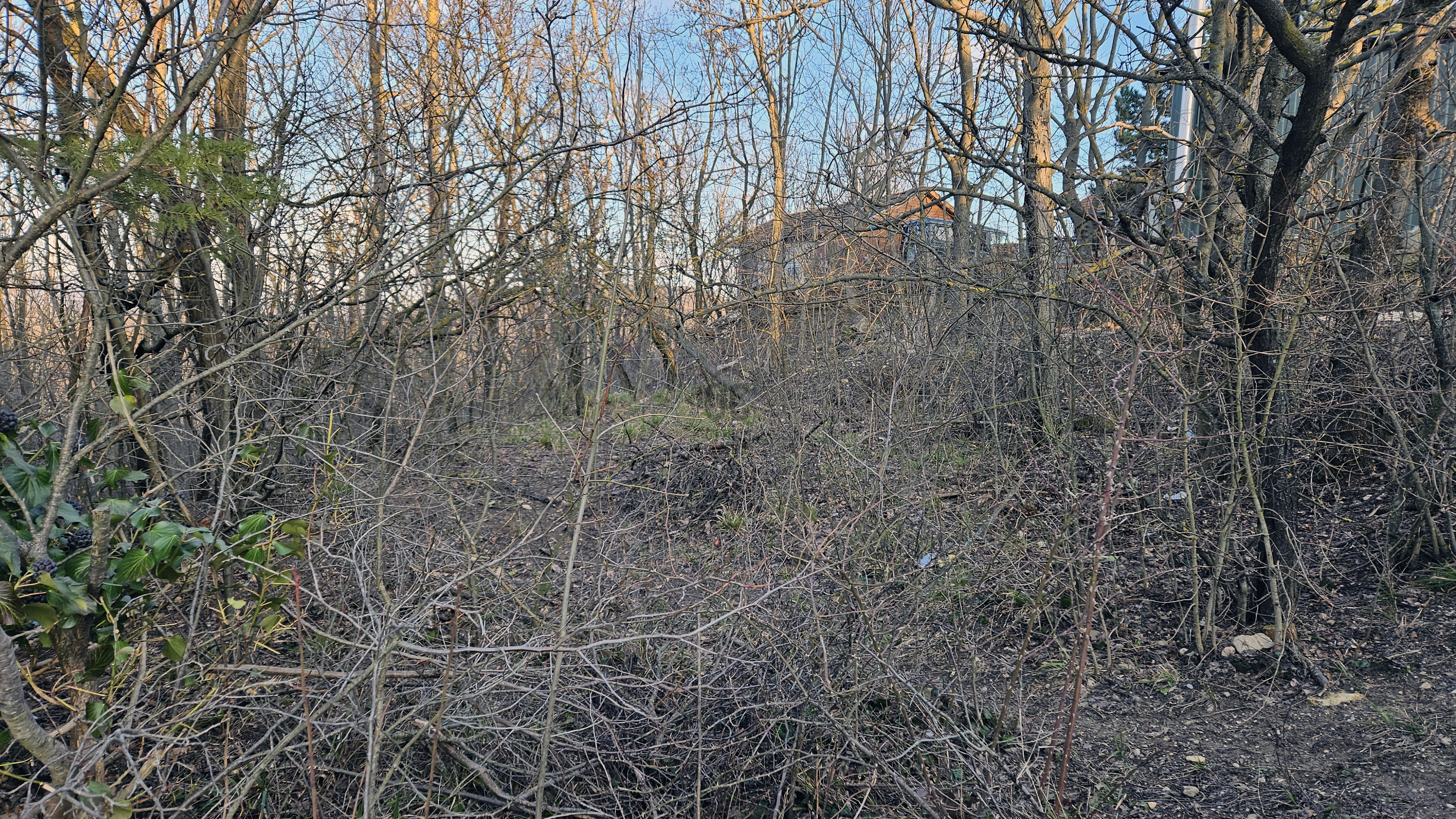 Gallery zoom image