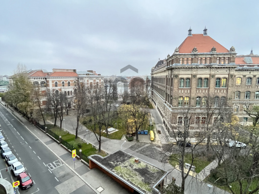 Index image
