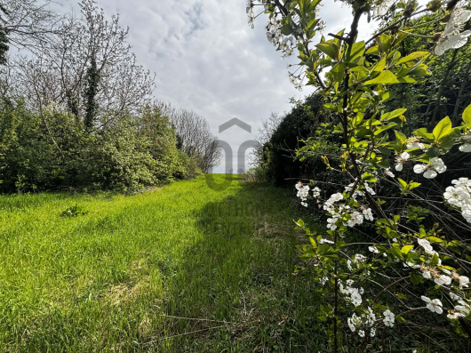 Index image