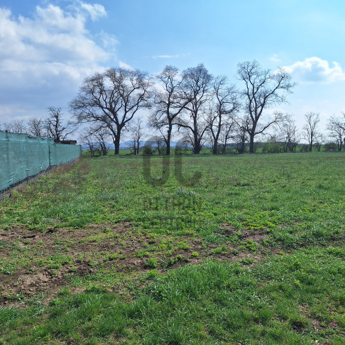 2168m² · Telek · 25.000.000 Ft
