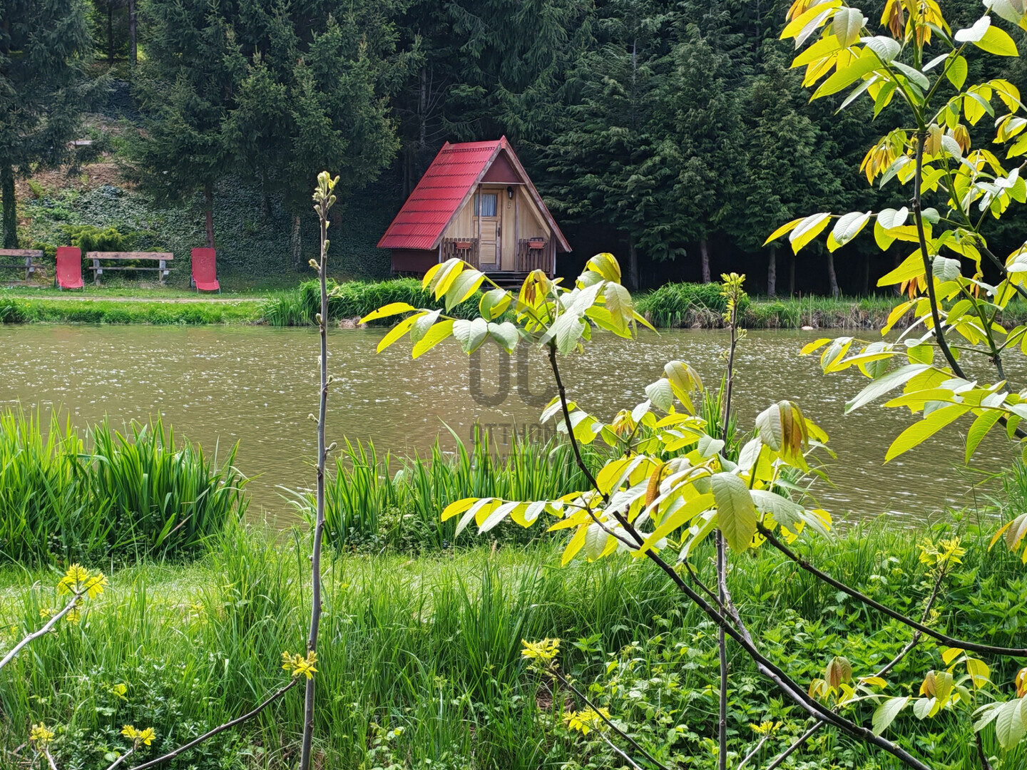 Gallery zoom image
