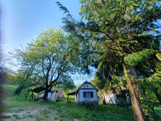 Index image