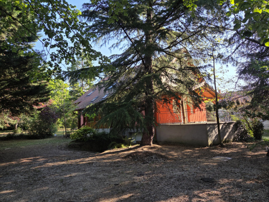 Index image