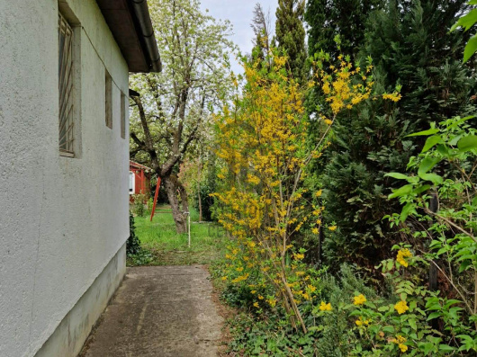 Index image