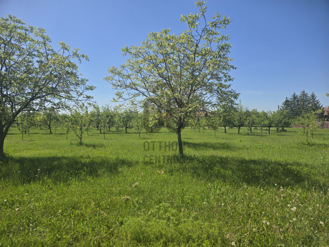 T041865 - 2. nézet
