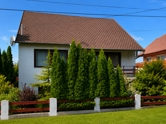 Index image