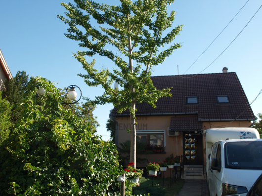 Index image