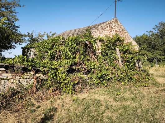 Index image