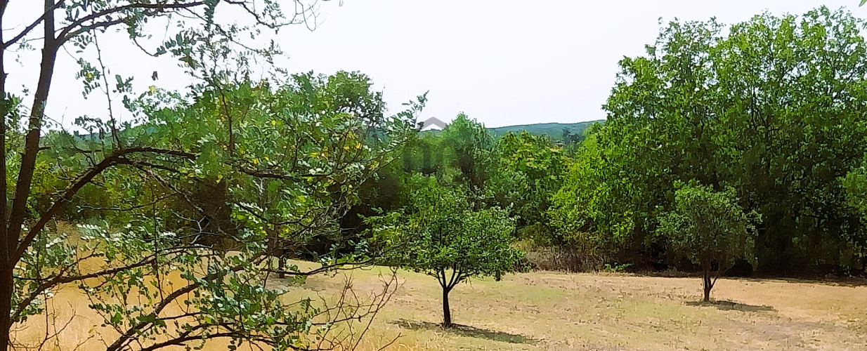 3943m² · Telek · 15.000.000 Ft