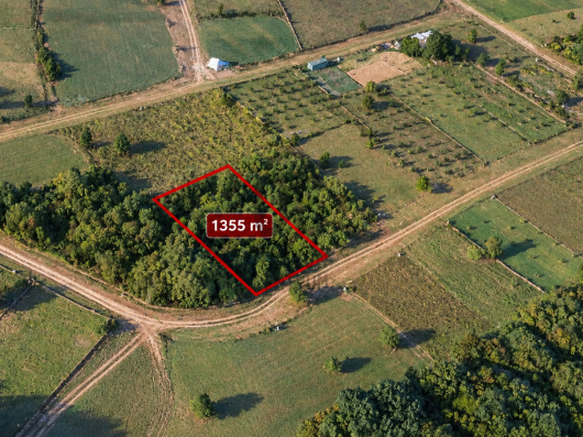 Index image