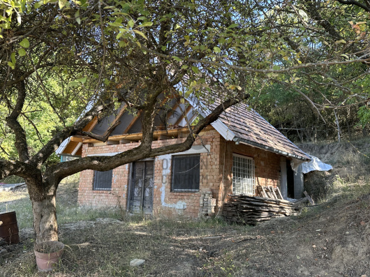 Index image