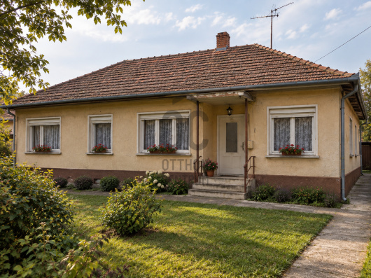 Index image